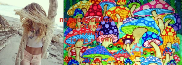 стафф Алексеевка