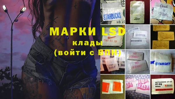 ПСИЛОЦИБИНОВЫЕ ГРИБЫ Алзамай