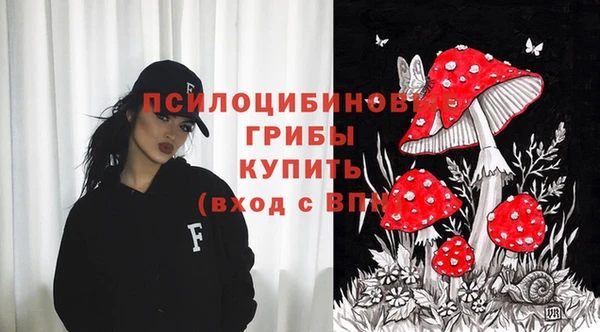 бошки Алексин