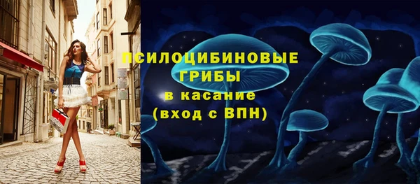 ПСИЛОЦИБИНОВЫЕ ГРИБЫ Алзамай