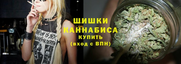 ПСИЛОЦИБИНОВЫЕ ГРИБЫ Аркадак
