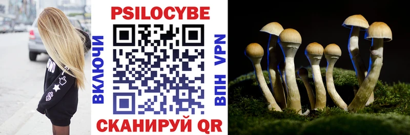 Купить закладки Ачинск Галлюциногенные грибы Cubensis